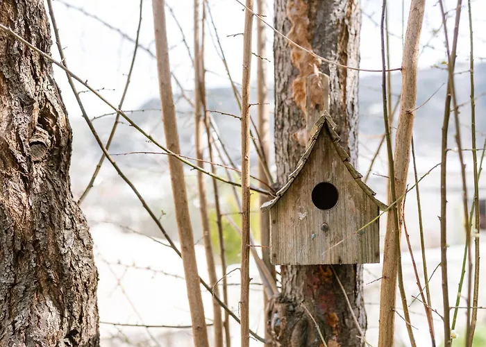 Ioulia's By Nomads 別荘 *