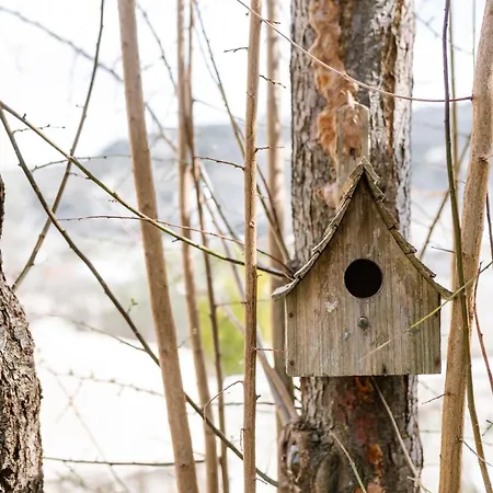 Ioulia's By Nomads Hébergement de vacances *